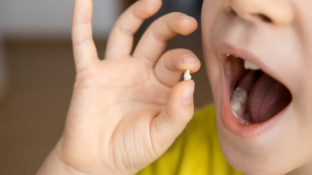 Conservation des dents de lait