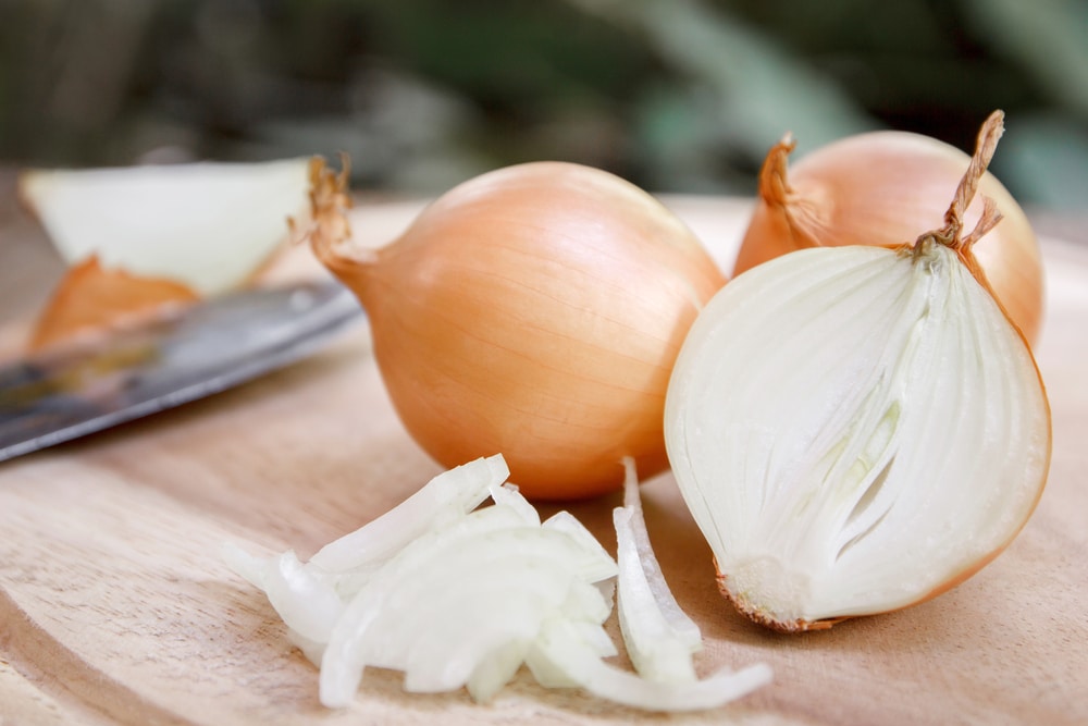 Illustration d'oignons biologiques pour une détox efficace