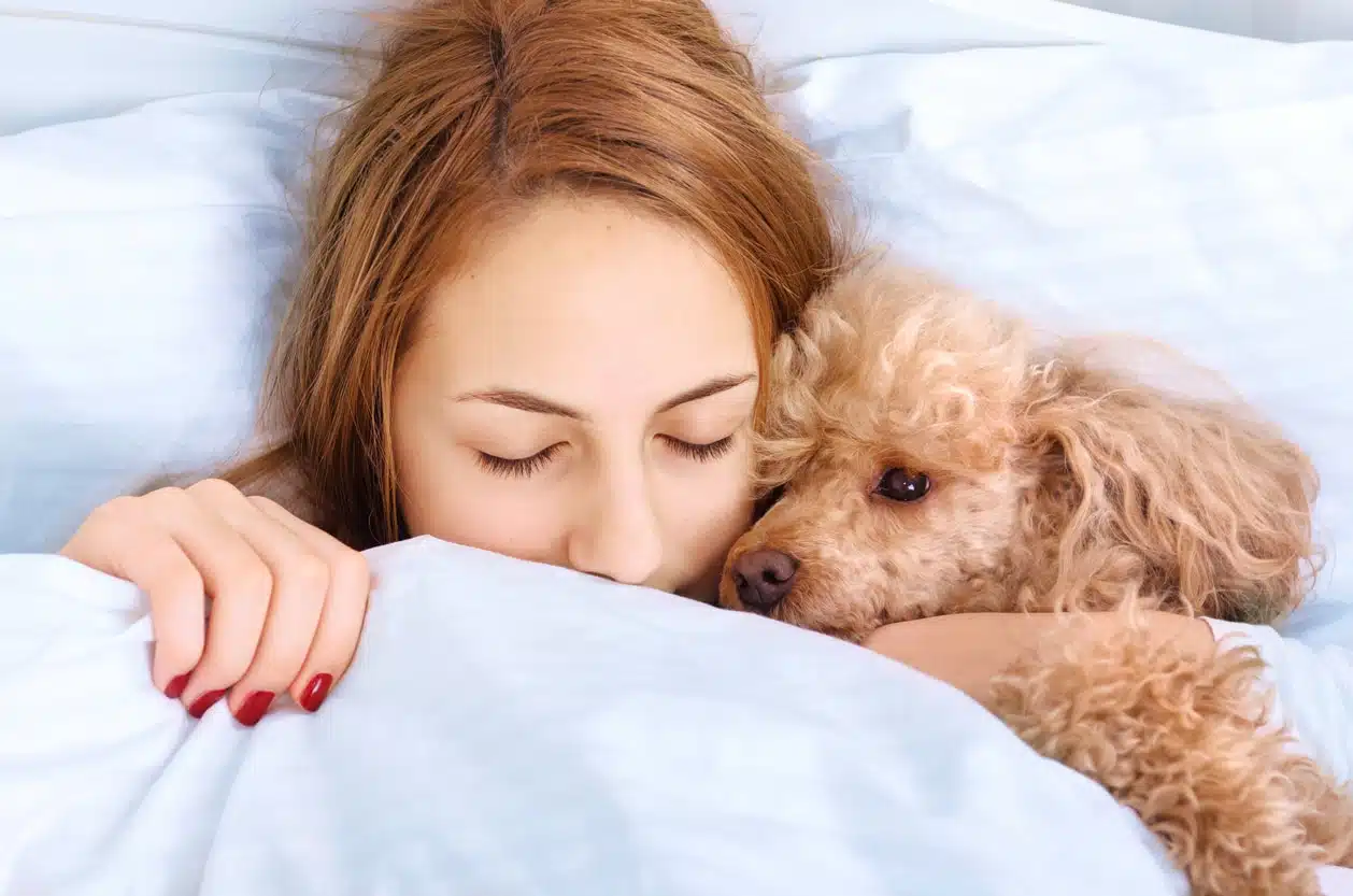 Chien dormant près de son maître