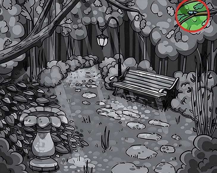 Solution d&rsquo;illusion d&rsquo;optique 