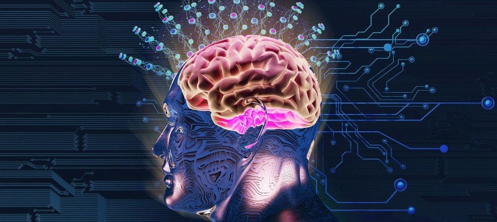 Illustration conceptuelle du cerveau et de la perception