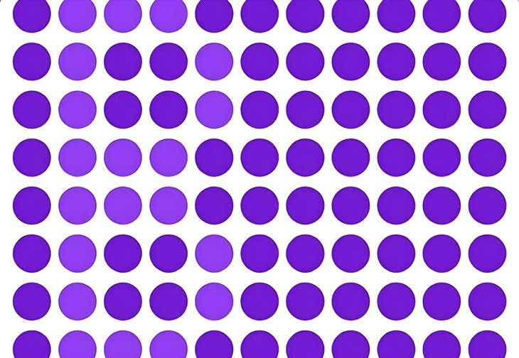 Image du puzzle – source : spm