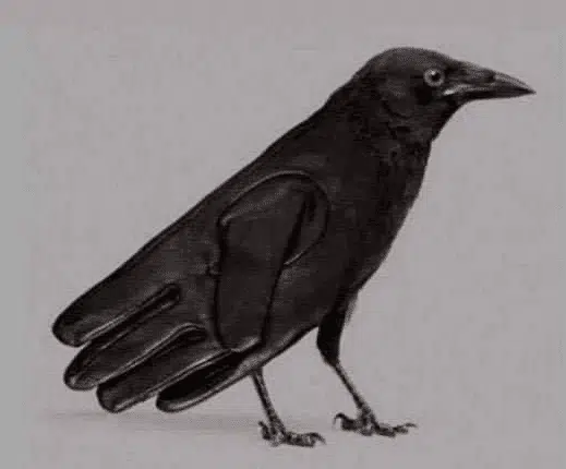 Illustration d'un corbeau perché