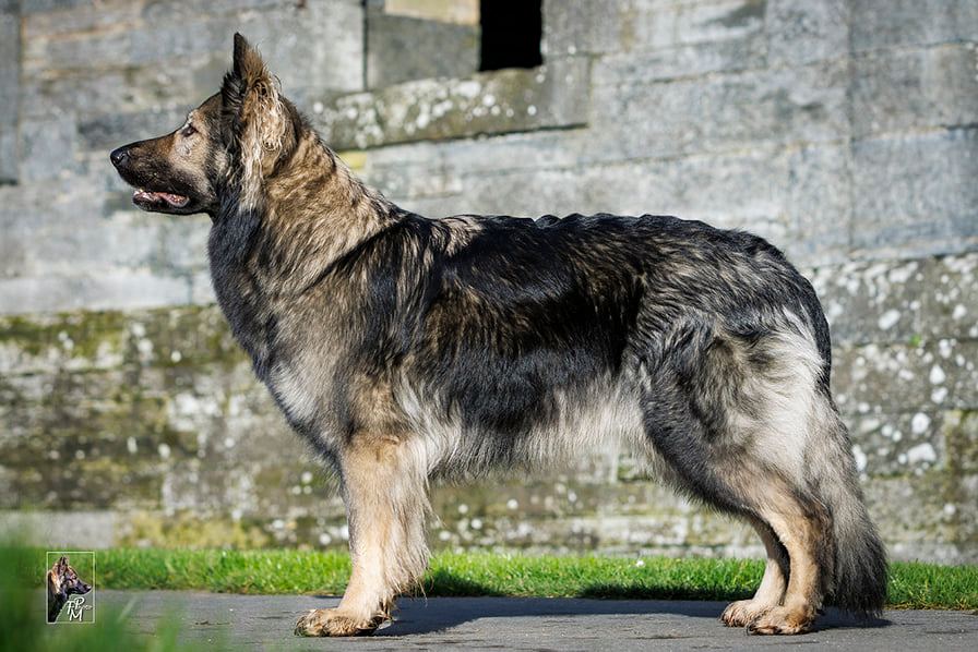 Naya allong&eacute;e, paisible, sur le cercueil en bois