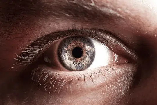 Illustration d'un test de perception