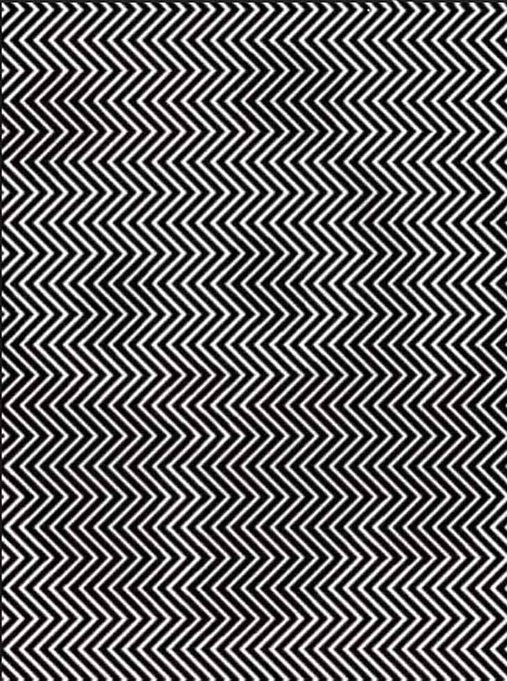 Image du panda caché – source : spm