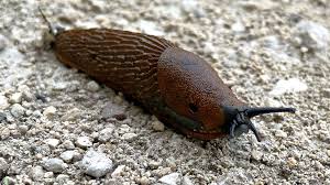 Icône représentant l'équilibre et l'air pur