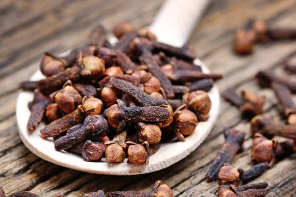 Huiles essentielles anti-moustiques