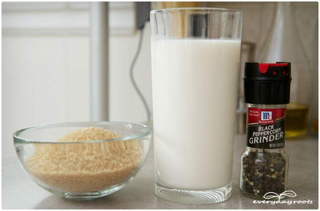 Ingrédients pour piéger les mouches