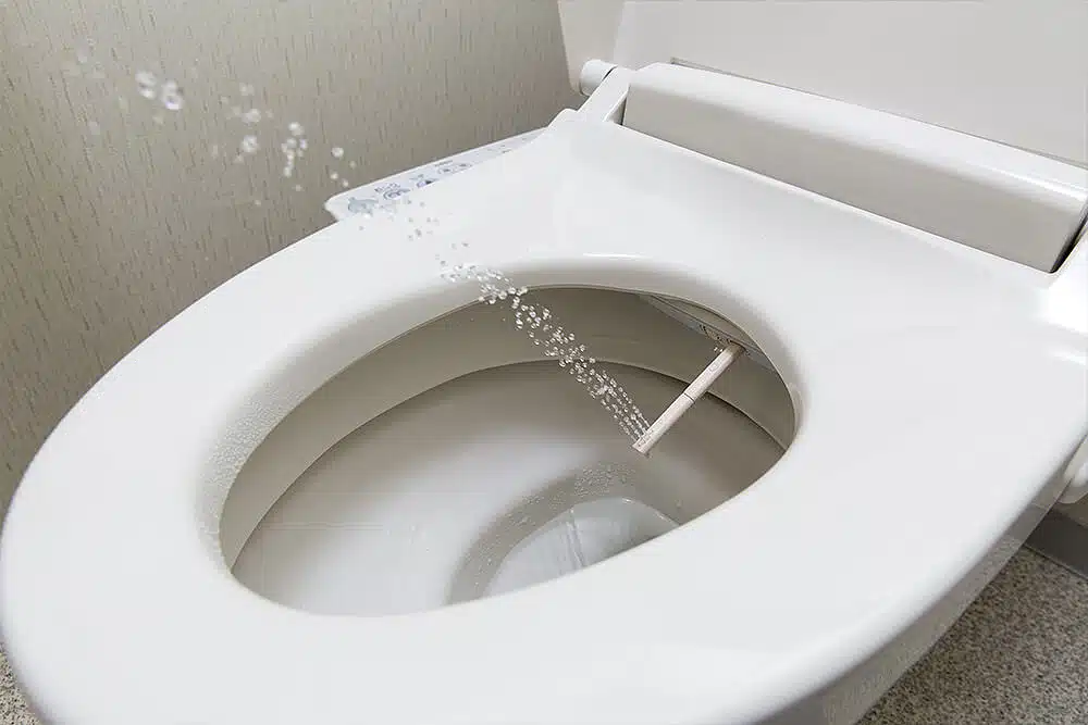 Toilettes traditionnelles japonaises