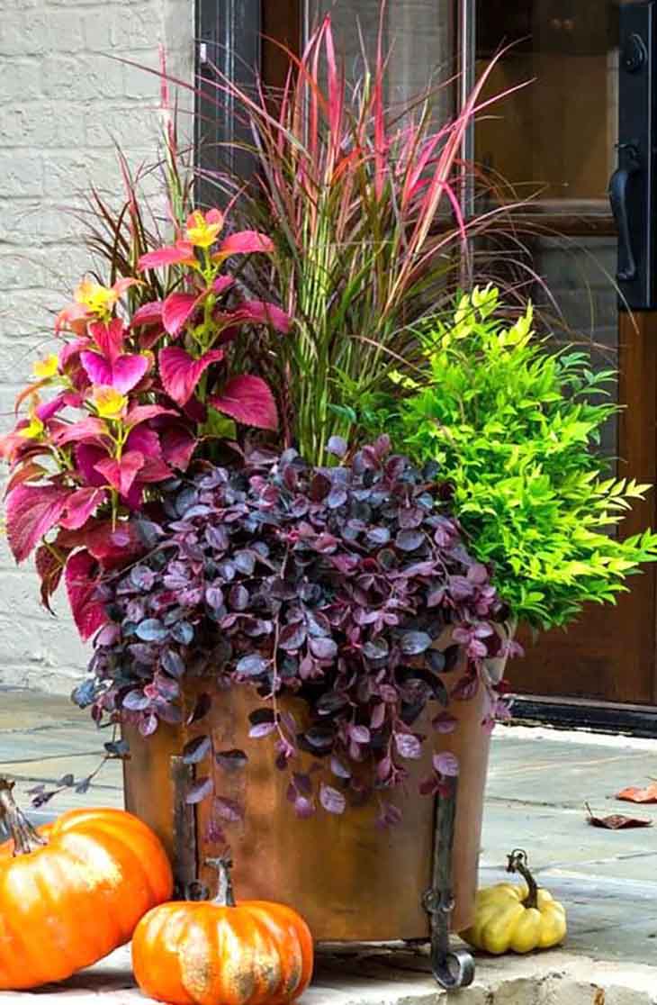 jardin automne10