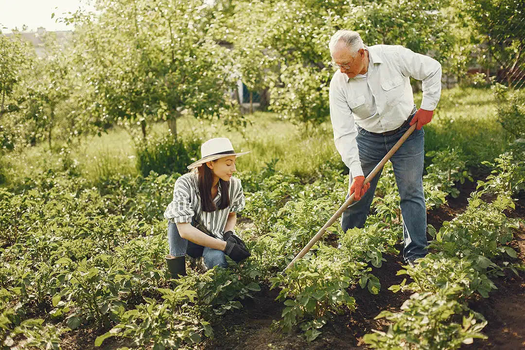 Jardinage écologique