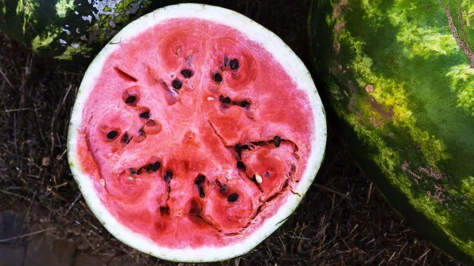 Pastèque coupée montrant des fissures