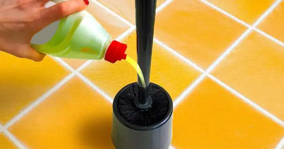 Brosse de toilettes propre posée à côté de la cuvette