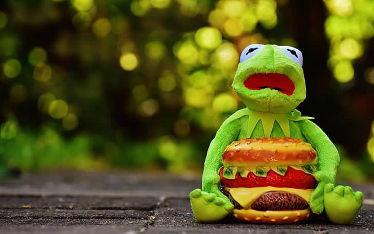 Alimentation déséquilibrée chez les enfants