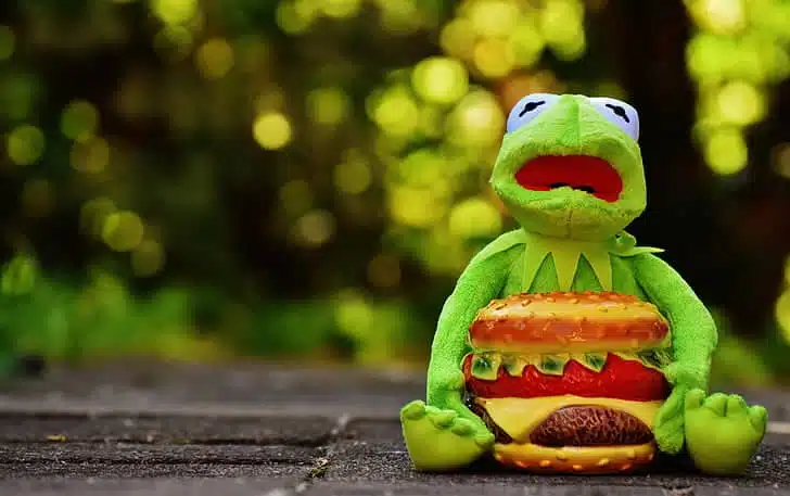 Alimentation déséquilibrée chez les enfants