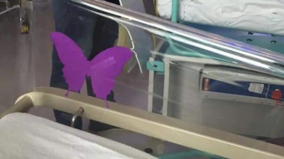 Service de maternité avec couveuse et symbole du papillon violet