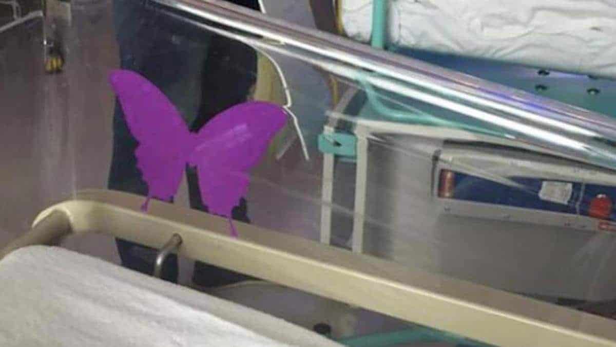 Fondation Skye High et papillon violet