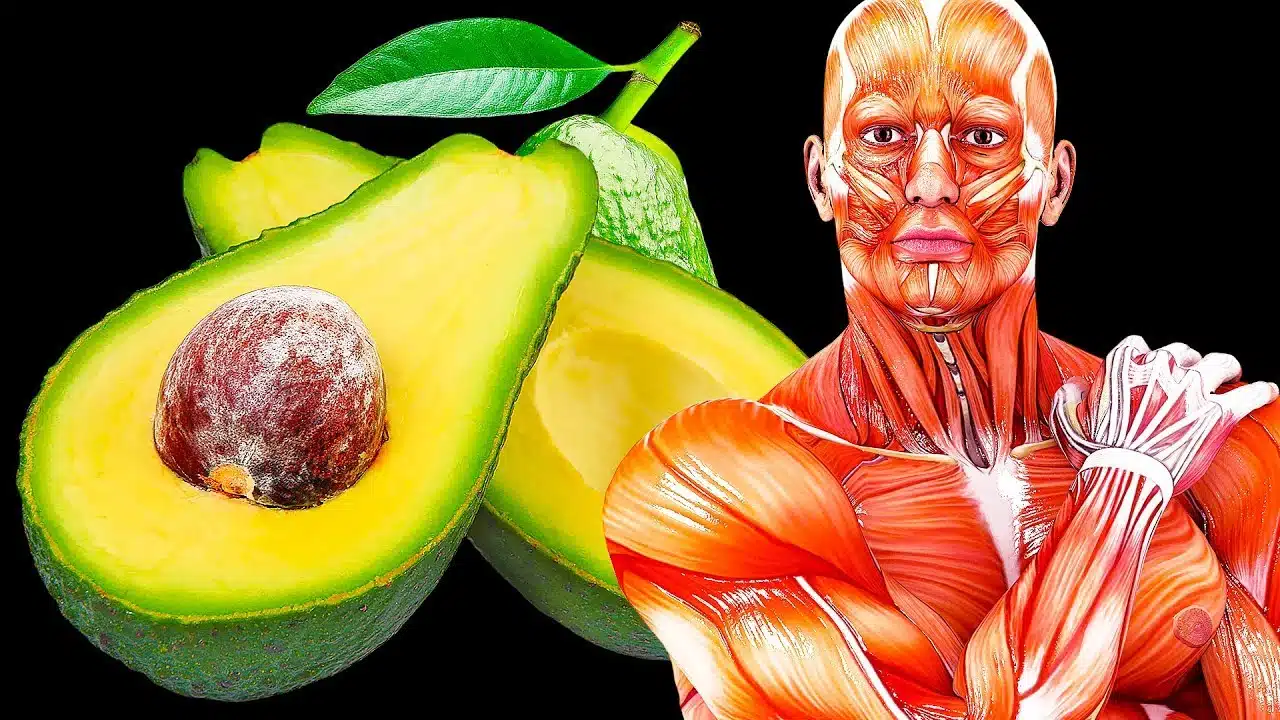 Salade colorée avec avocat