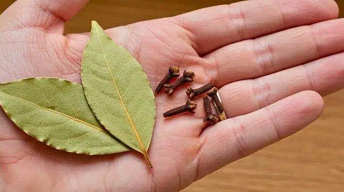 Mélange d'épices et d'herbes séchées pour une huile capillaire maison
