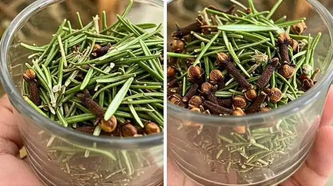 Mélange de romarin frais et de clous de girofle dans un bol en bois