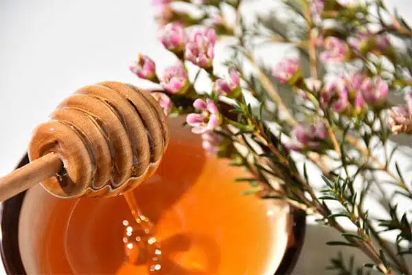 Pot de miel de Manuka