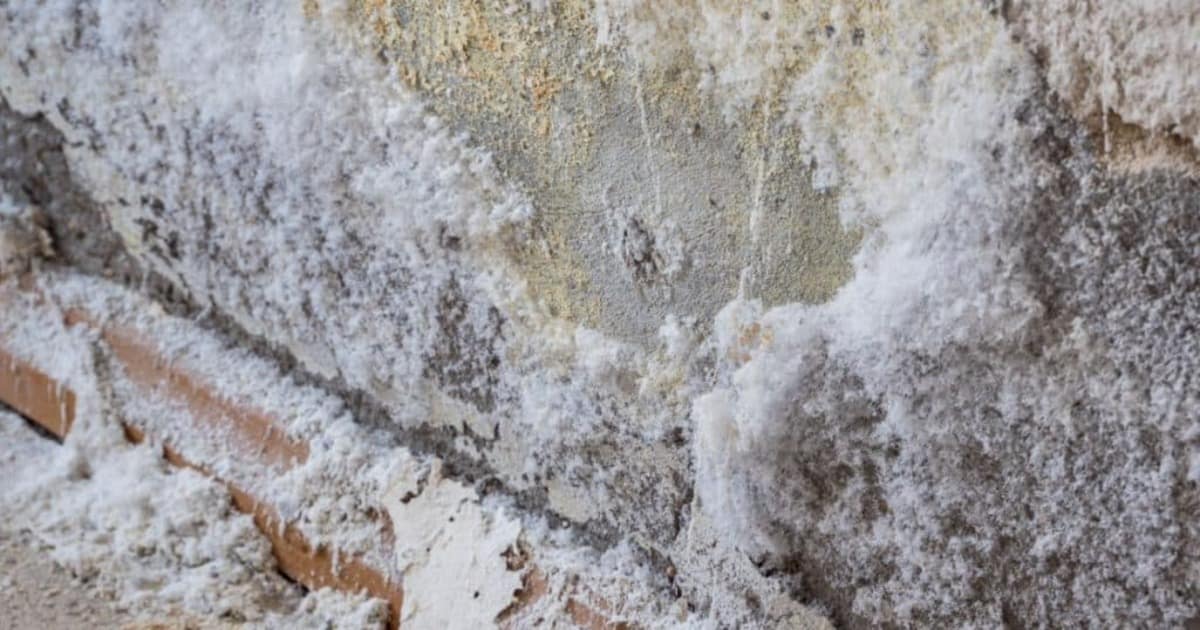 Dépôt blanc poudreux sur un mur en pierre ou en brique