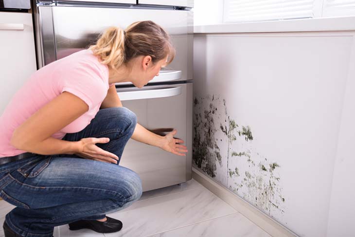 Moisissure sur les murs – source : spm