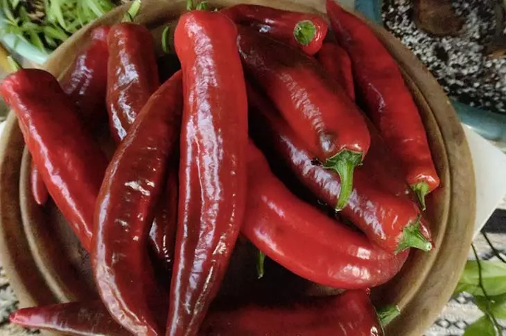 paprika1