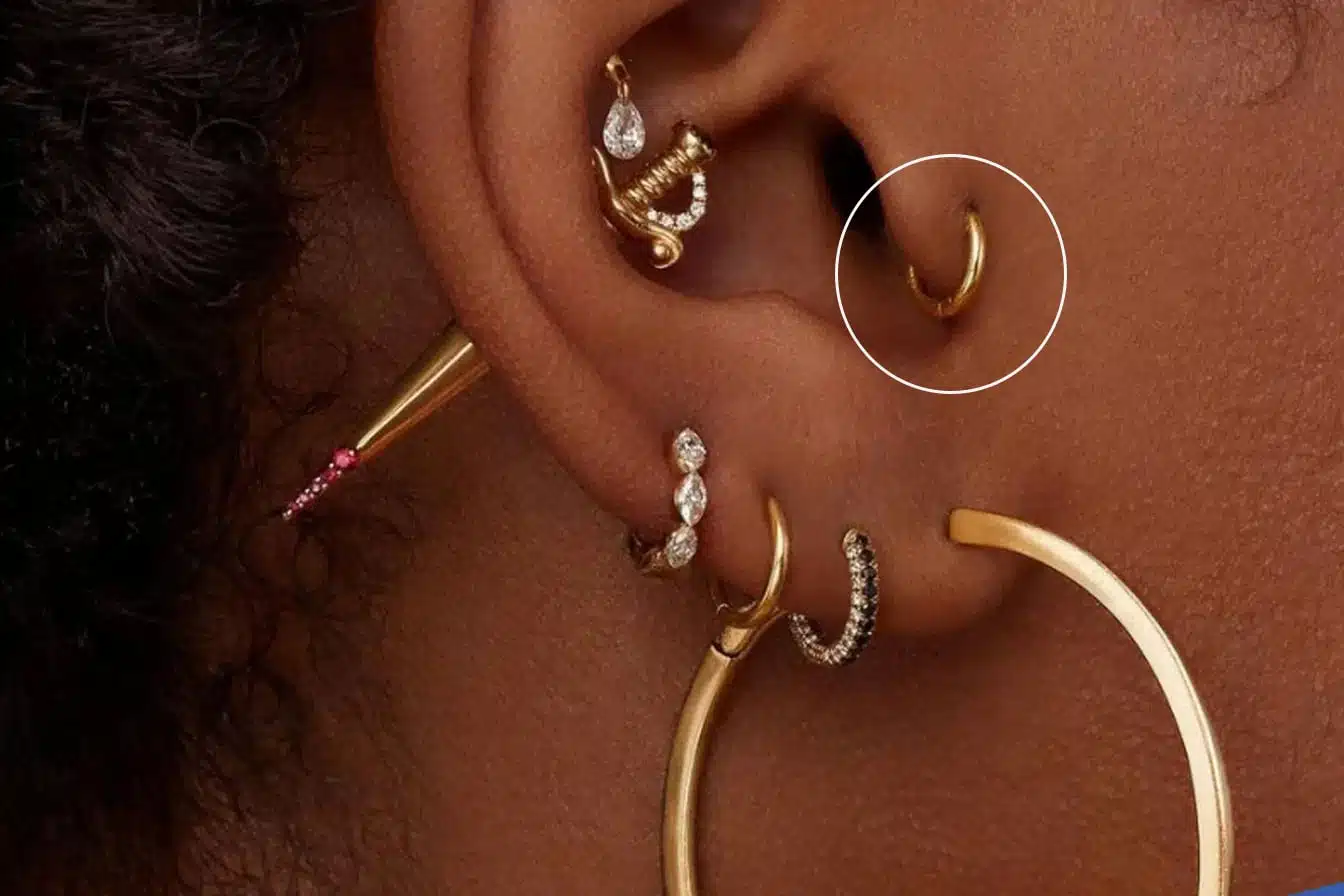 Collection de bijoux pour piercing de tragus