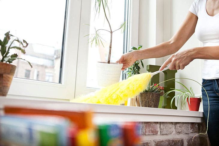 Dépoussiérer – source : spm