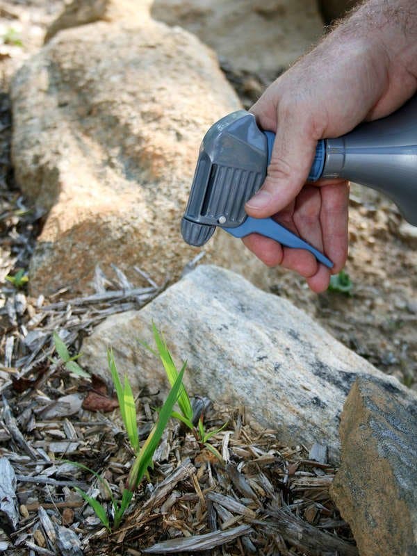 Une préparation à base de vinaigre pour venir à bout des plantes indésirables. source : bobvila
