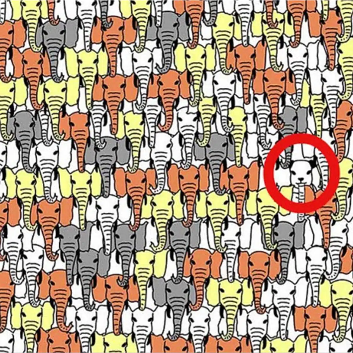 Gros plan sur une section du puzzle montrant des éléphants multicolores