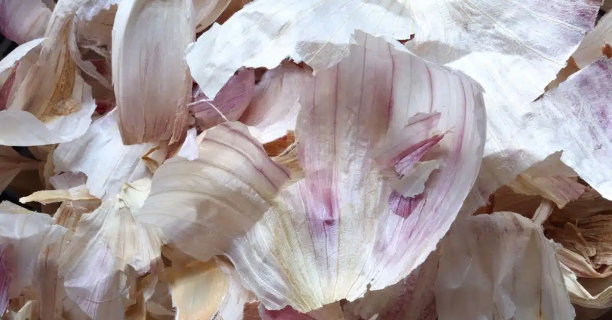 Épluchures d'ail dans une main au-dessus d'un plan de travail