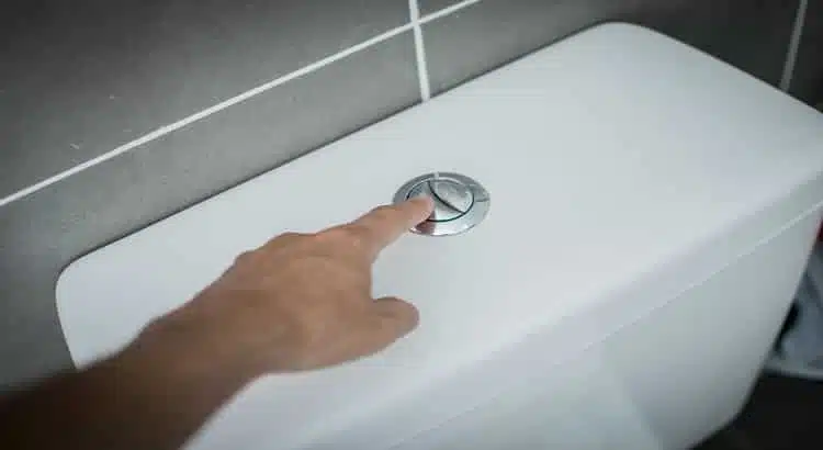 Chasse d'eau à double commande