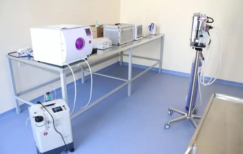 Mariage improvisé à la clinique vétérinaire