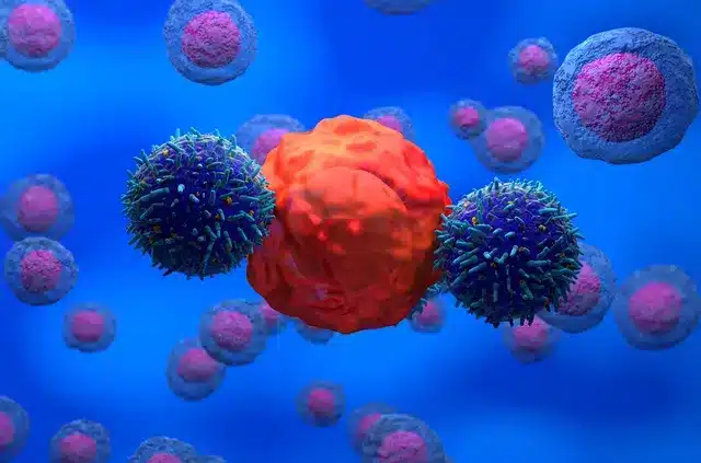 Illustration de cellules immunitaires