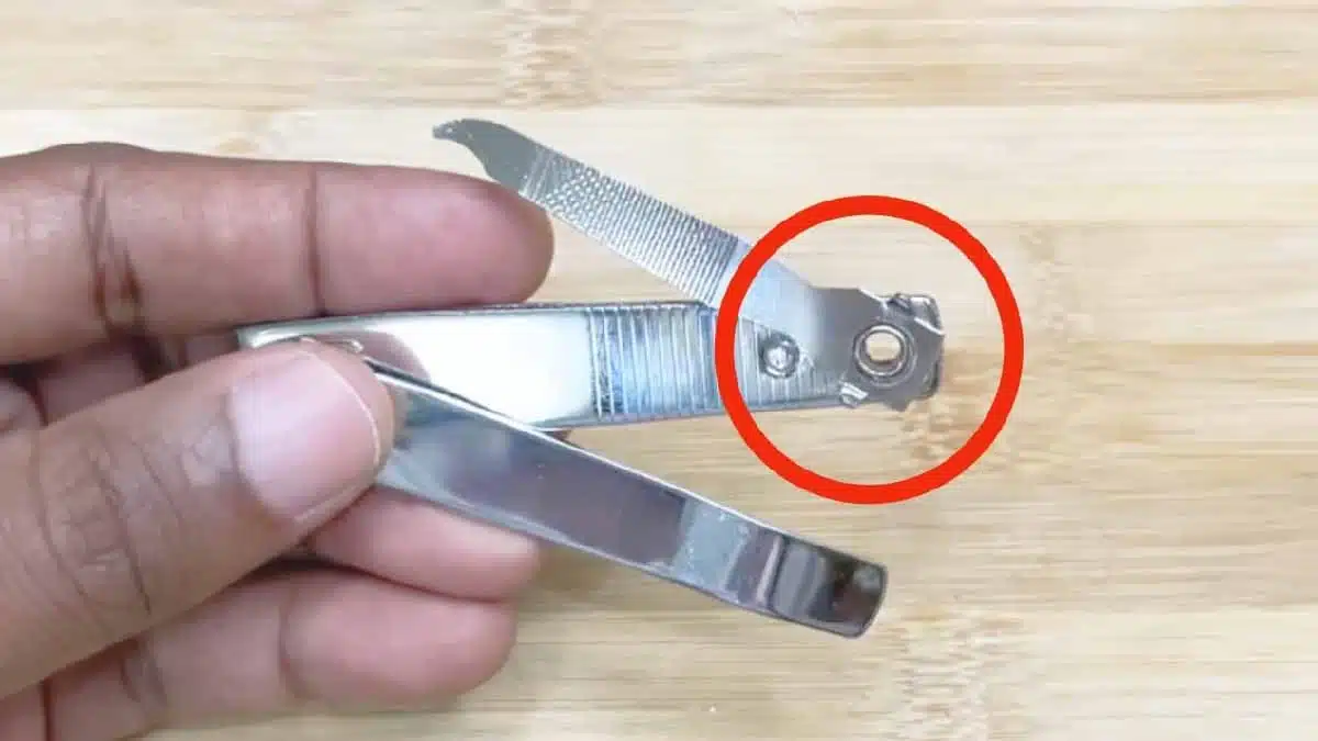 Gros plan sur un coupe-ongles, mettant en évidence le petit trou rond à son extrémité