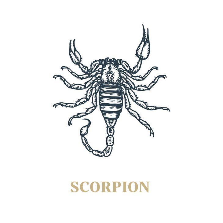 Le signe du scorpion