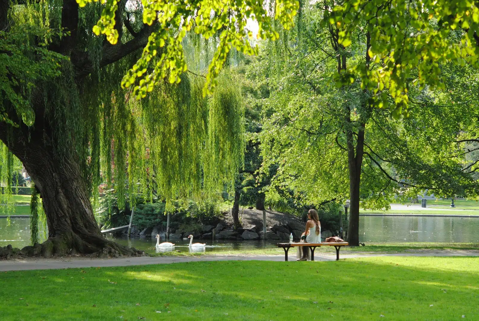 Photo d'un parc public, lieu d'une promenade révélatrice