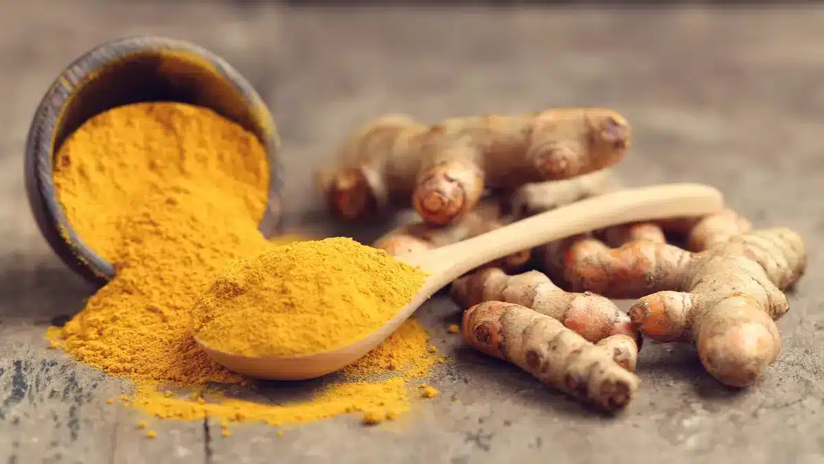 Racines et poudre de curcuma