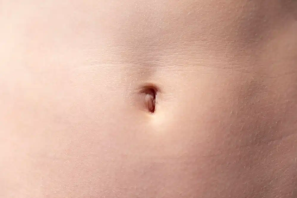 Illustration d'un nombril de forme ronde et douce