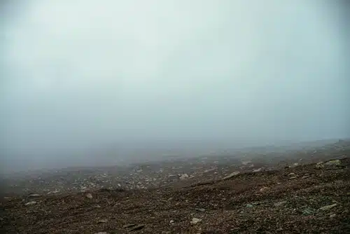 Illustration d'un paysage recouvert d'un épais brouillard