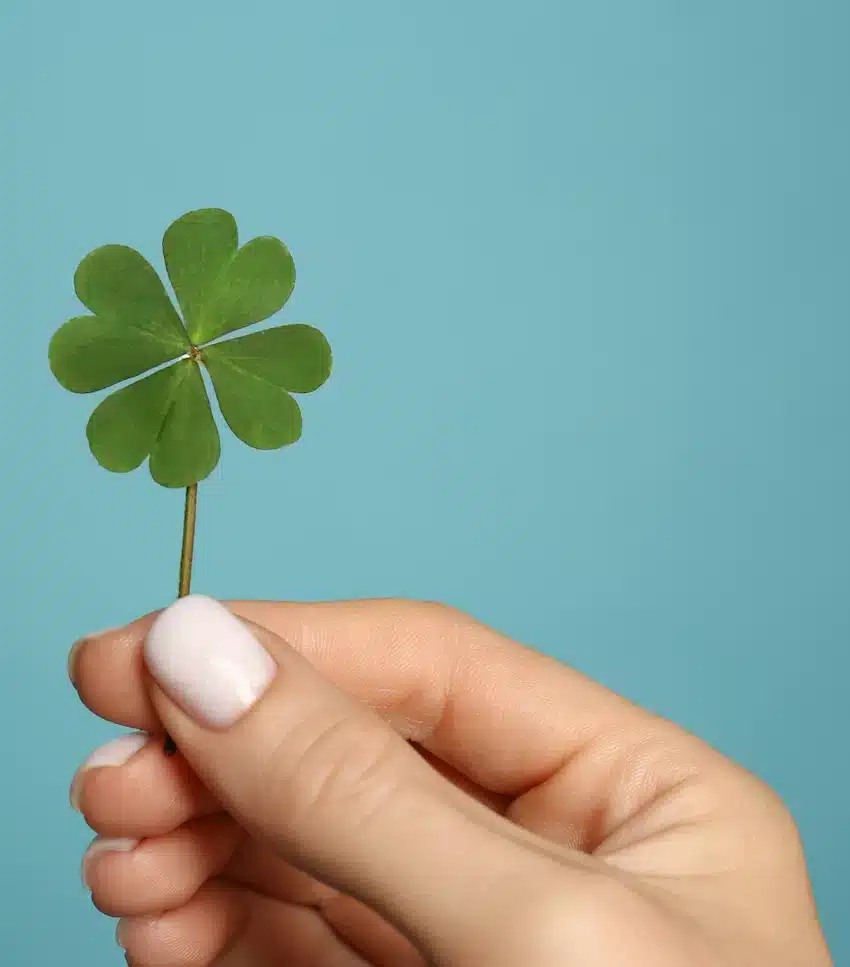 Symbole de chance - trèfle à quatre feuilles