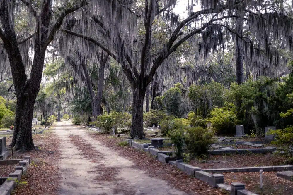 Vue aérienne de Savannah la nuit