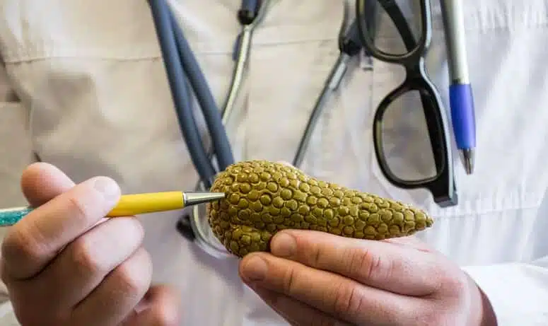 Illustration médicale du pancréas