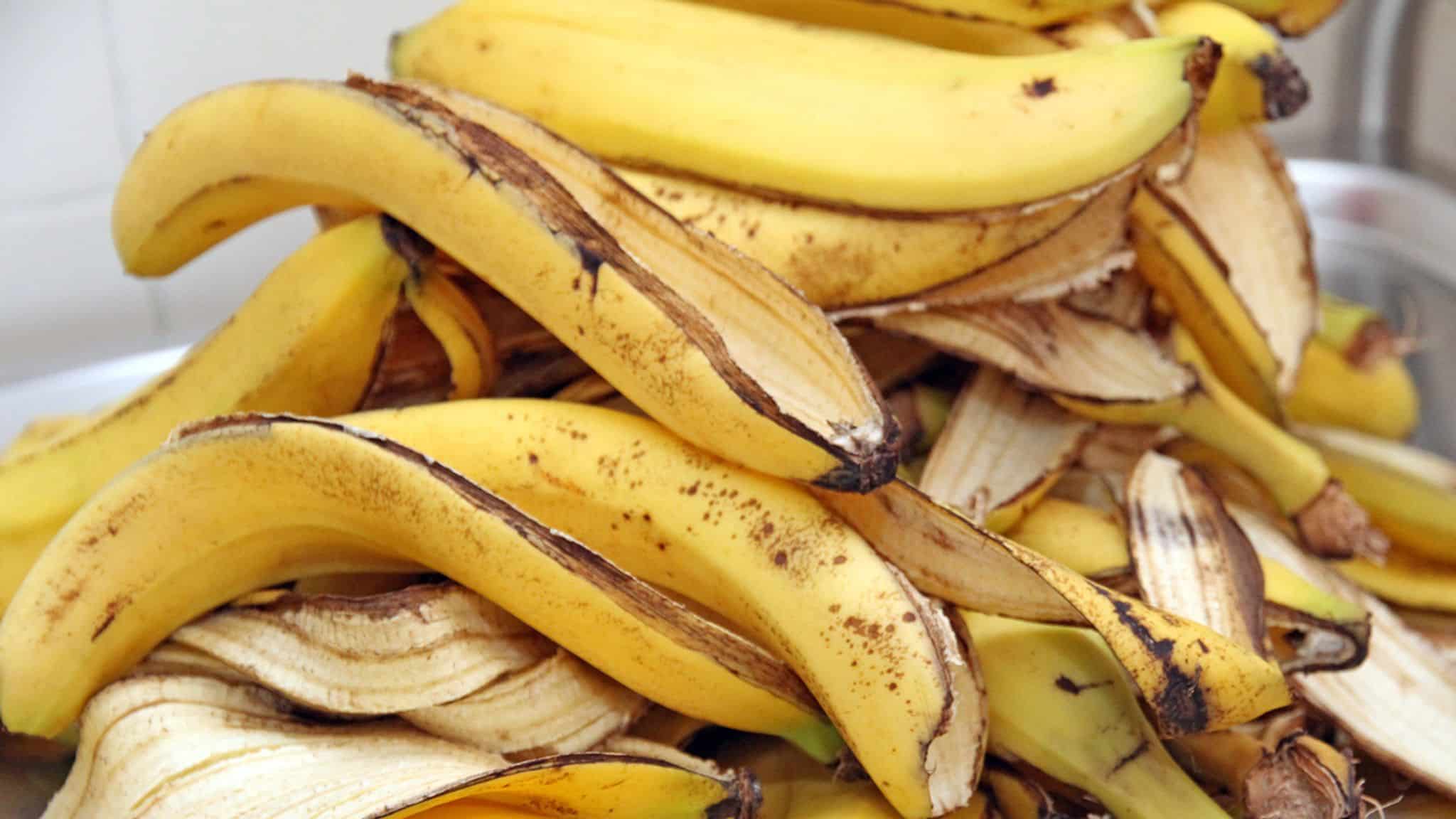 Peau de banane utilisée pour blanchir les dents