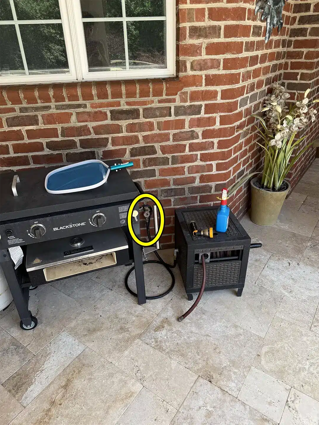 Solution montrant l'emplacement du serpent sur le mur