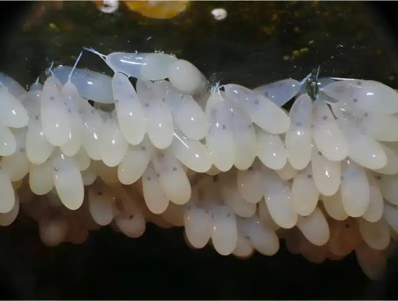Grotte marine mystérieuse
