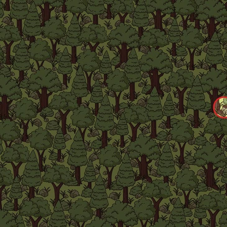 Réponse du défi visuel – source : spm